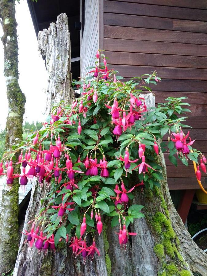 Готель Spring Garden Kundasang Екстер'єр фото