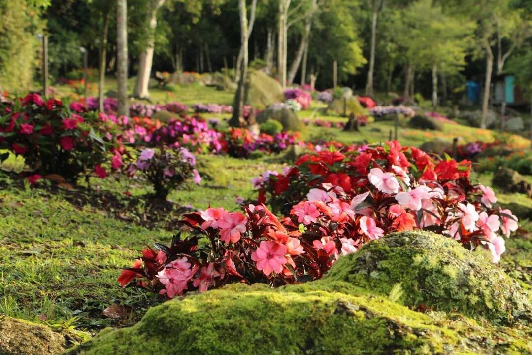 Готель Spring Garden Kundasang Екстер'єр фото