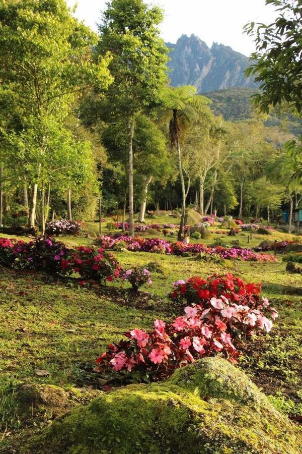 Готель Spring Garden Kundasang Екстер'єр фото