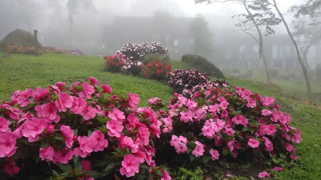 Готель Spring Garden Kundasang Екстер'єр фото
